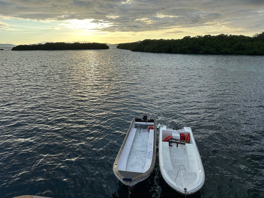 Planbased Mini Guide – Gratis reisinspiratie voor Indonesië